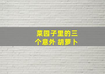 菜园子里的三个意外 胡萝卜